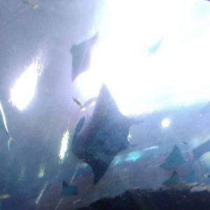 Meet your Posher, Patti